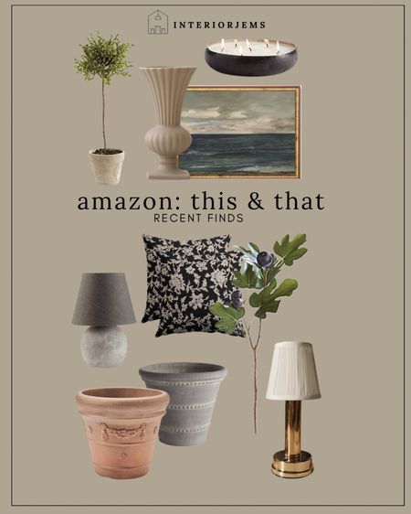 Amazon, recent fines, this, and that random fines I just found on Amazon, small, portable lamp, brass lamp, tiny lamp, framed, art, framed and ready, art, large planter, planters, and pots, topiary tree, home decor from Amazon

#LTKStyleTip #LTKHome #LTKSaleAlert