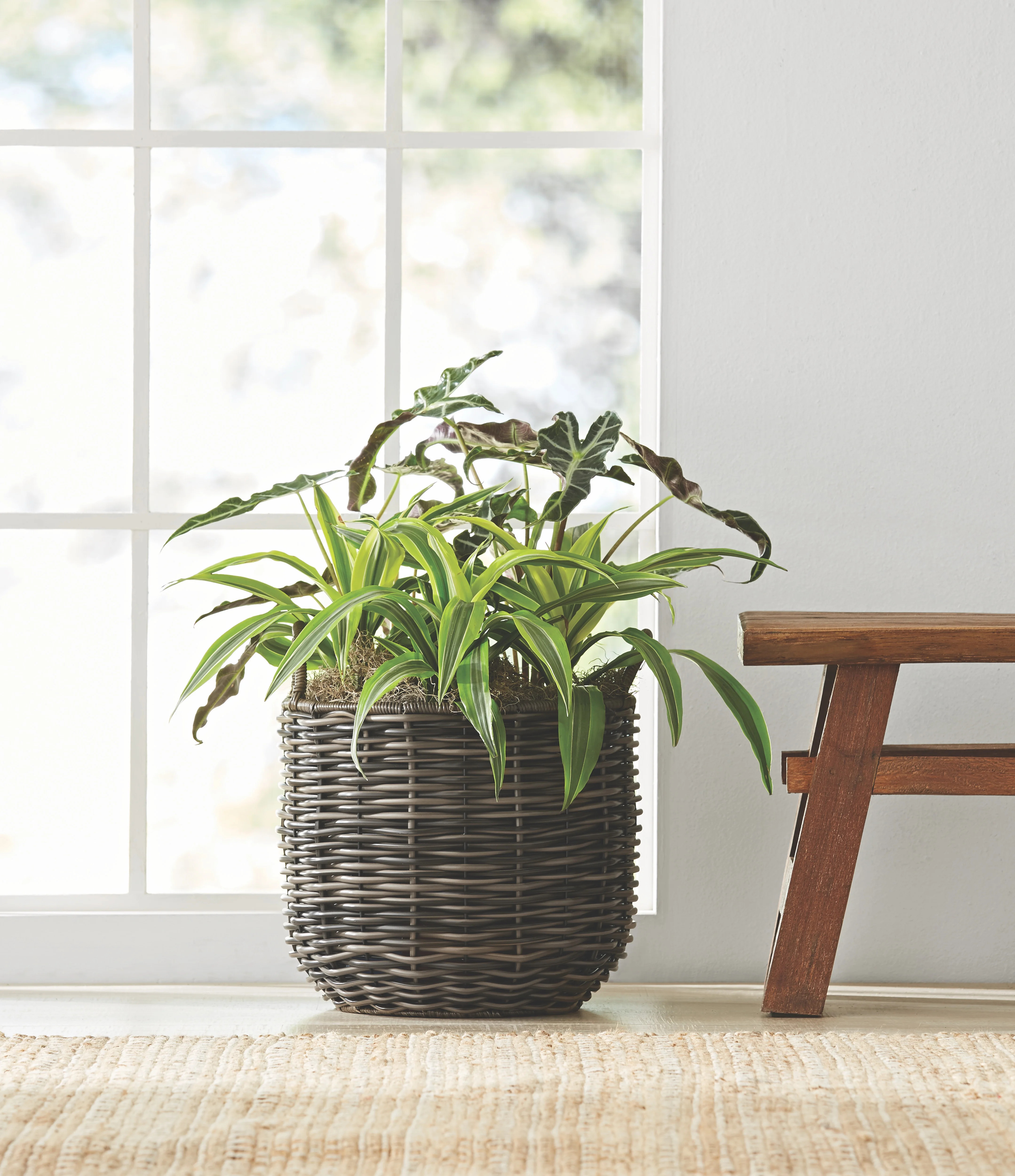 Better Homes & Gardens Wister 12 in Round Resin Rattan Planter | Walmart (US)