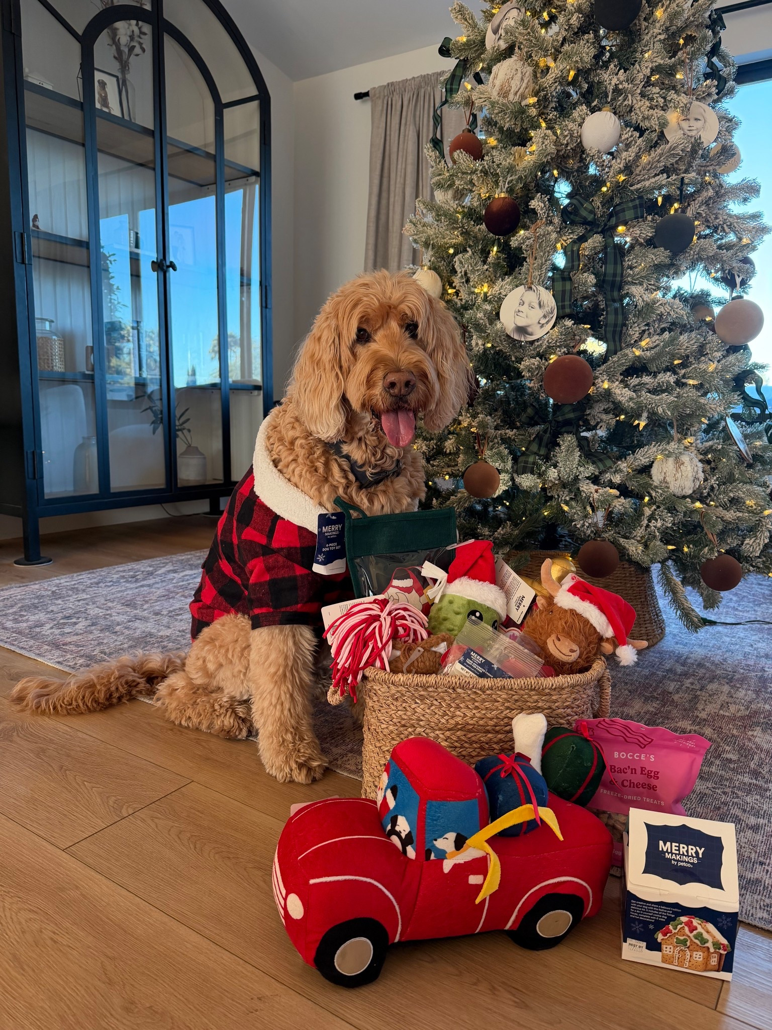 All our favorite dog toys, treats and more linked here so your pup has the best Christmas ever! @Petco #PetcoPartner #ad

#LTKHoliday #LTKSeasonal
