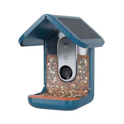 Bird Buddy Smart Bird Feeder with Camera and Solar Roof | Target