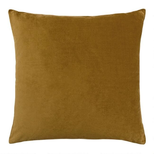 Velvet Throw Pillow | World Market