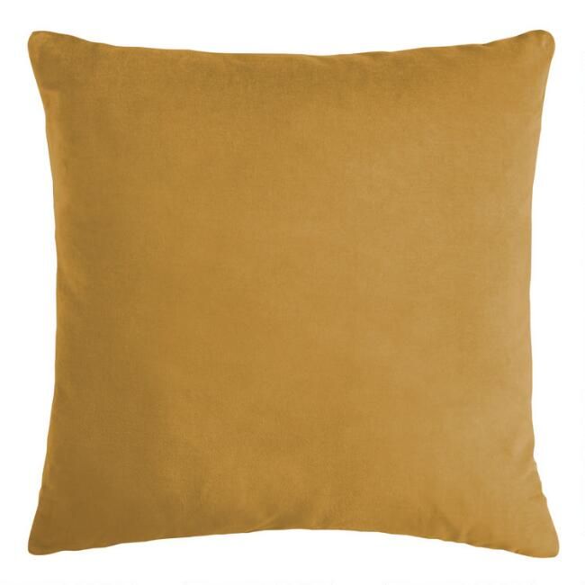 Velvet Throw Pillow | World Market