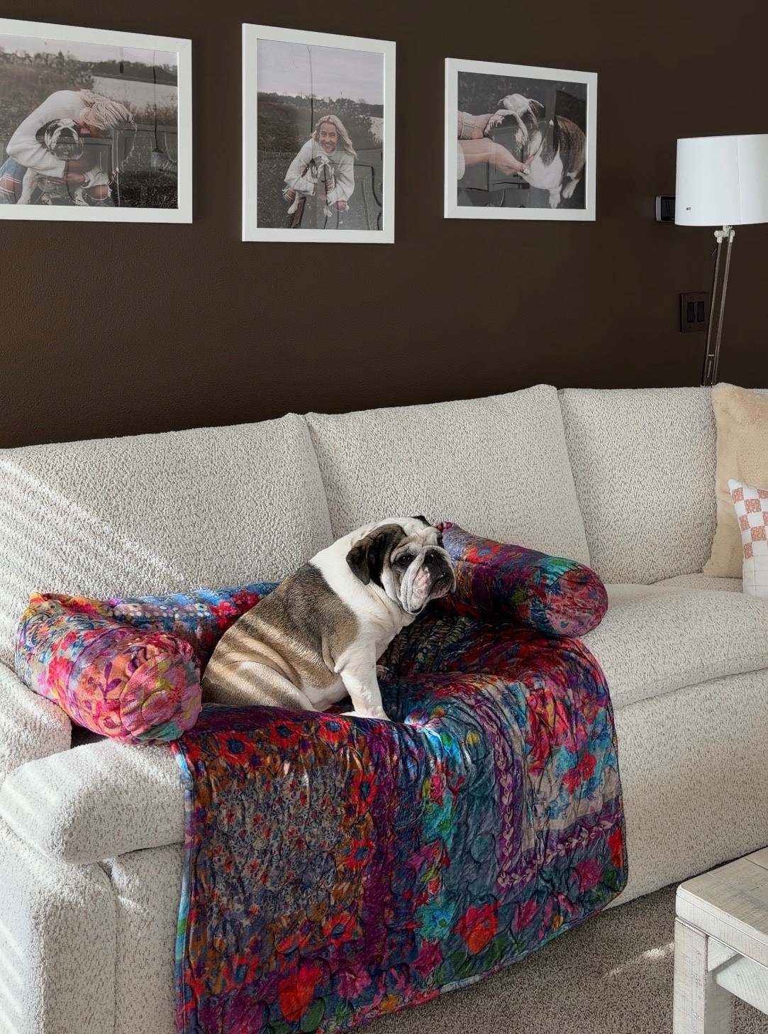 Poppy loves her new comfy spot! 