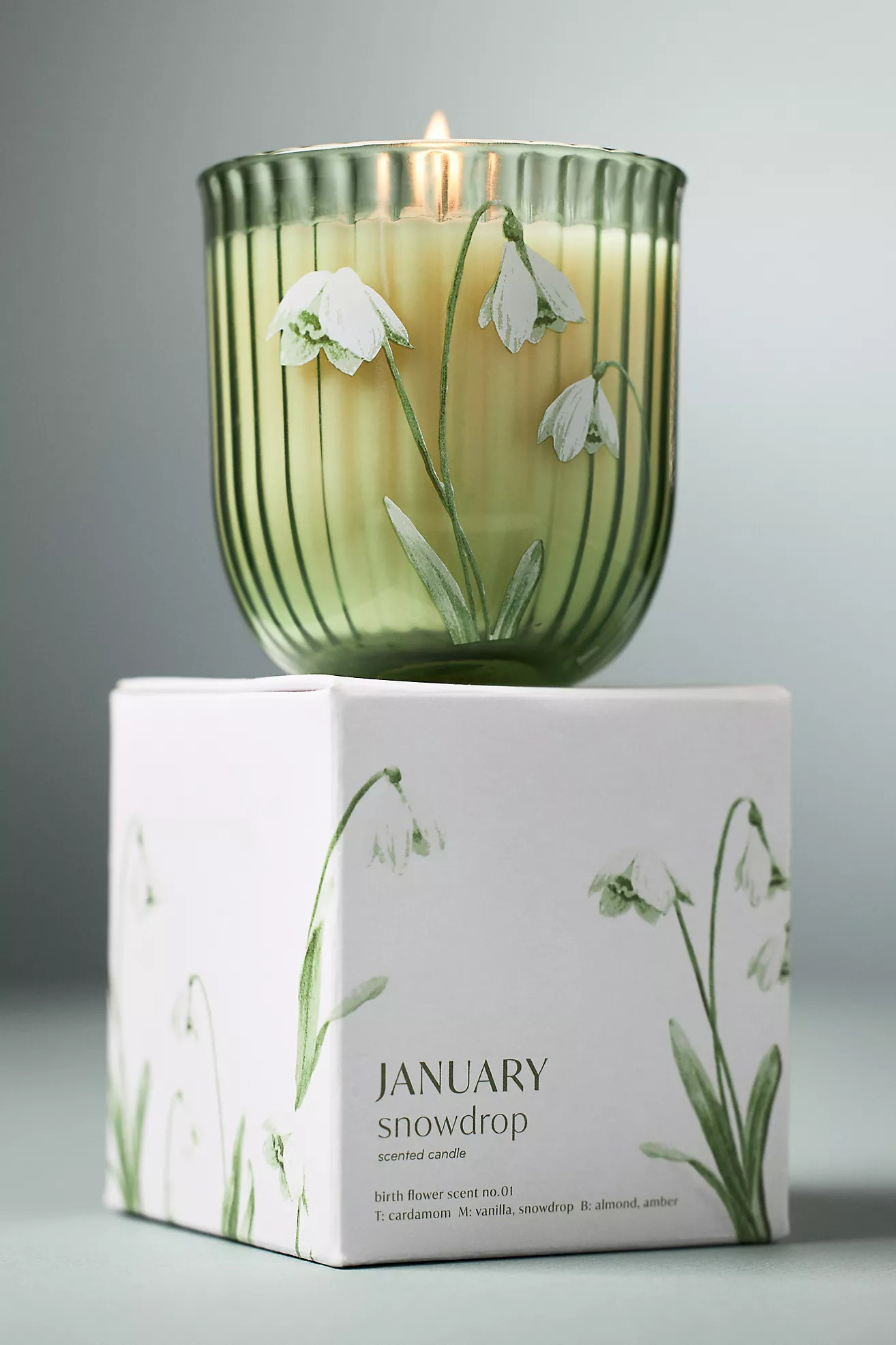 Birth Month Flower Boxed Candle | Anthropologie (US)