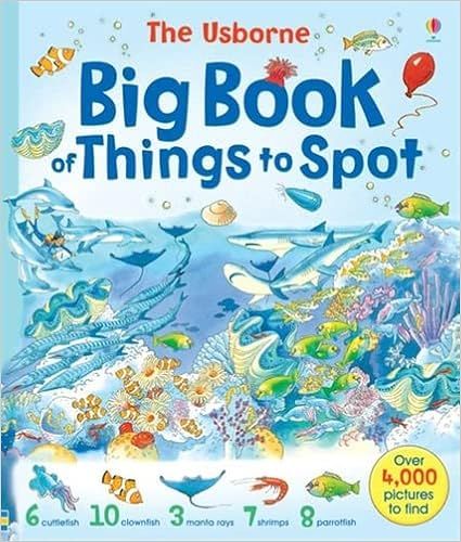 Big Book of Things to Spot    Paperback – September 30, 2002 | Amazon (US)