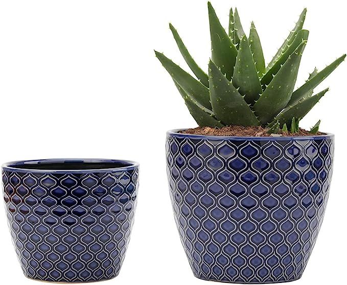 UooMay Ceramic Flower Pots Plants Containers - 6.5 and 5.5 Inch Planter Pot with Drainage Hole fo... | Amazon (US)