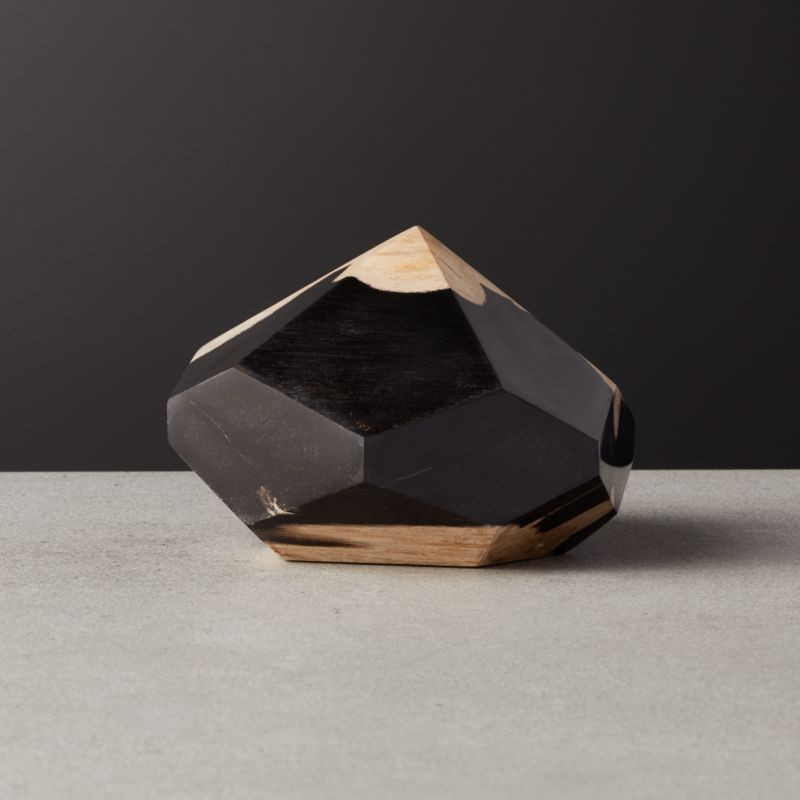 Petrified Wood Object + Reviews | CB2 | CB2