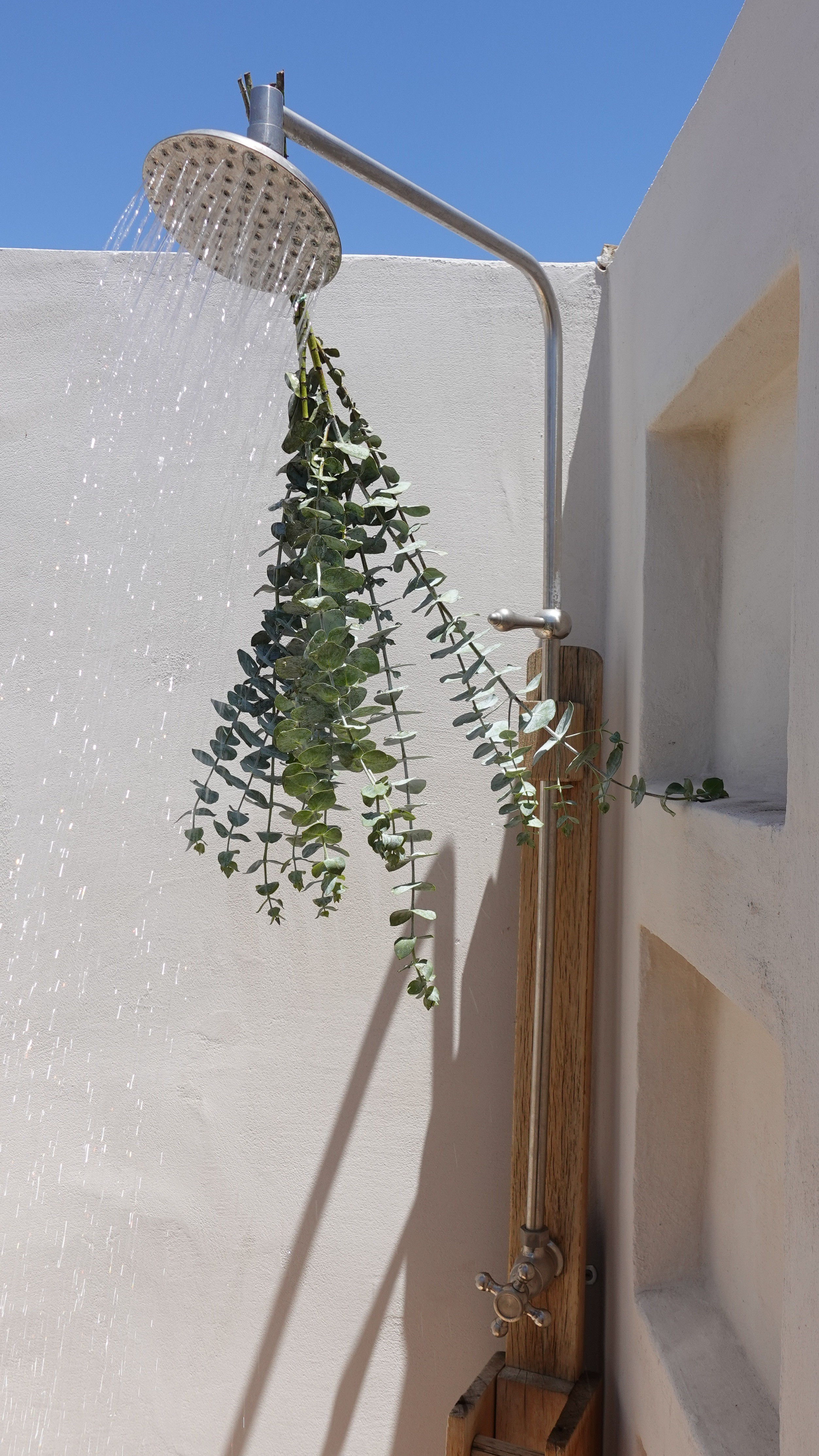 You don't need fancy plumbing for an outdoor shower 🚿

#LTKSeasonal #LTKHome