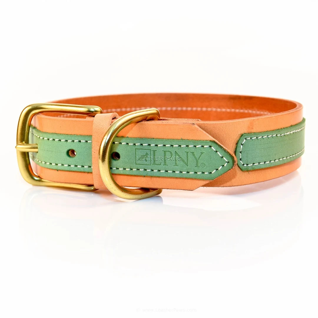 LPNY Sand Lime Leather Dog Collar, Made With Real Leather, Gold Metal Buckle, Green Accent, 1.5 W... | Etsy (US)