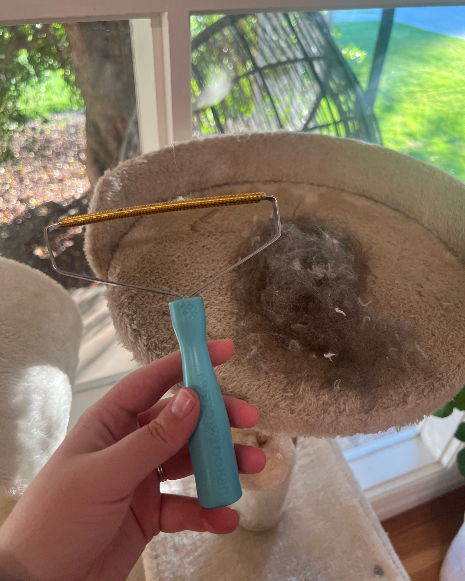 This Uproot cleaning brush is a LIFESAVER for any dog or cat moms! Look how much I got off just this top little spot?! Would make a great stocking stuffer! 

#LTKGiftGuide #LTKhome