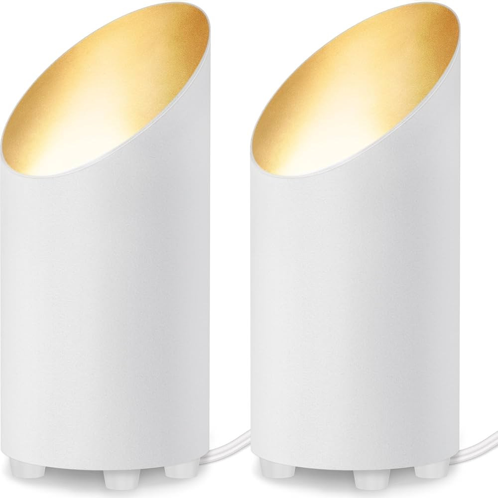 SUNVIE 2 Pack Uplighting Indoor Floor Can Light, 5W Up Lights with 2700K LED GU10 Bulbs, Uplights... | Amazon (US)