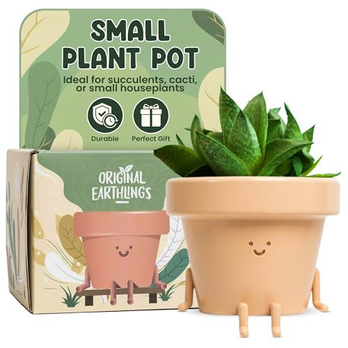 Original Earthlings Sitting Small Plant Pot - 4 Inch Cute Plant Pot - Succulent & Cactus Christmas Planters, Removable Drainage Plug, Cute Decor Plant Gifts for Plant Lovers, Teacher Gifts | Amazon (US)