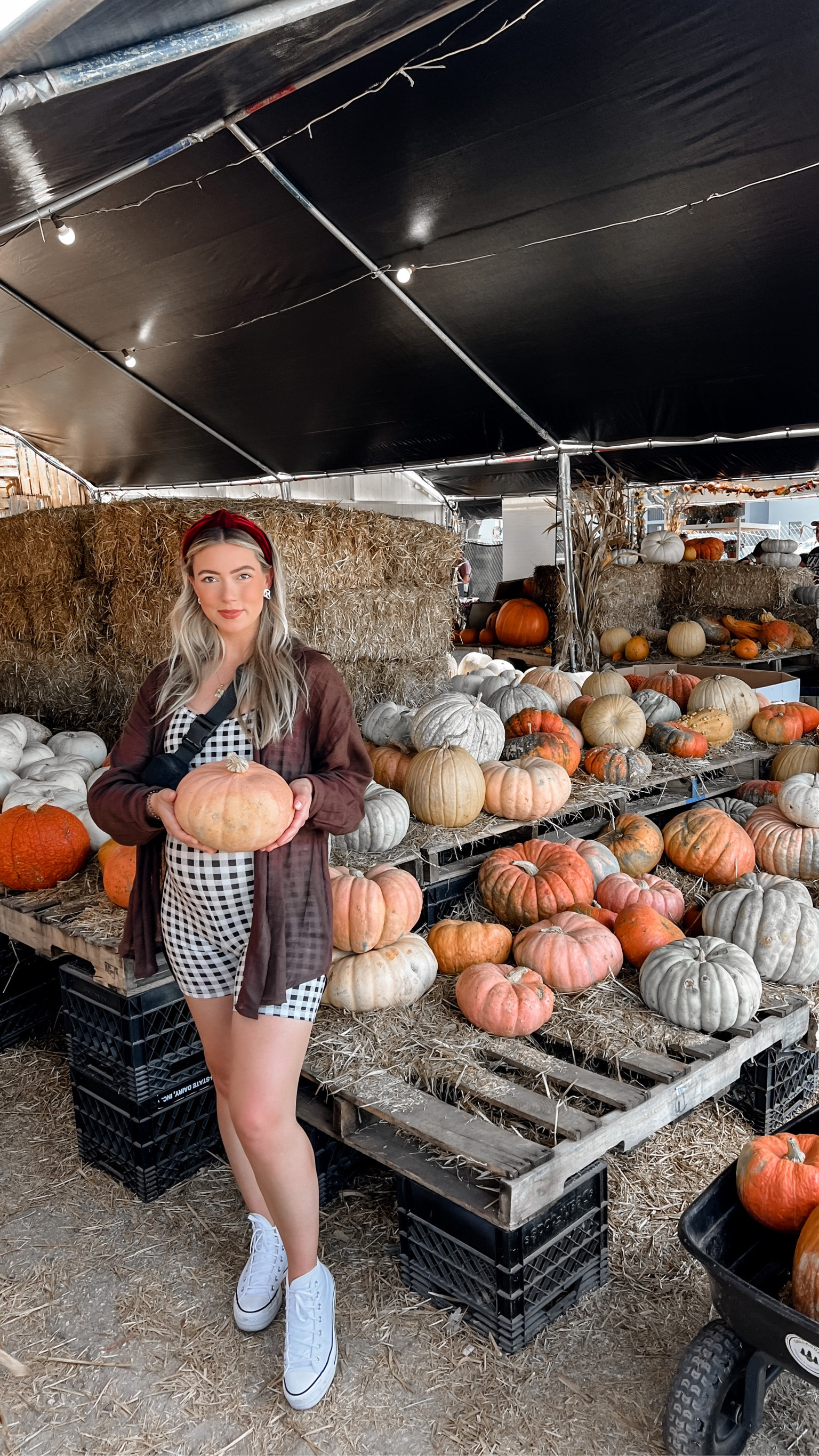 fall-ing like i have a pumpkin inside my belly.

#LTKSeasonal #LTKbump