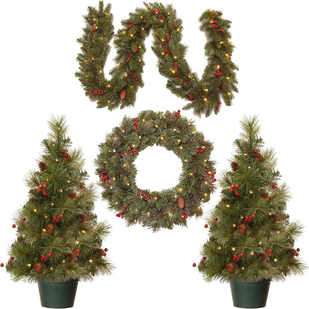 Amazon.com: National Tree Company National Pre-lit White LED Lights Holiday Christmas 4-Piece Set... | Amazon (US)
