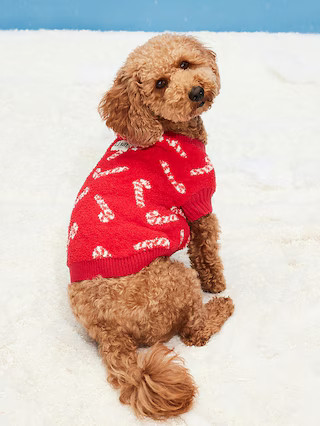 Cozy Printed Sweater for Pets | Old Navy (US)