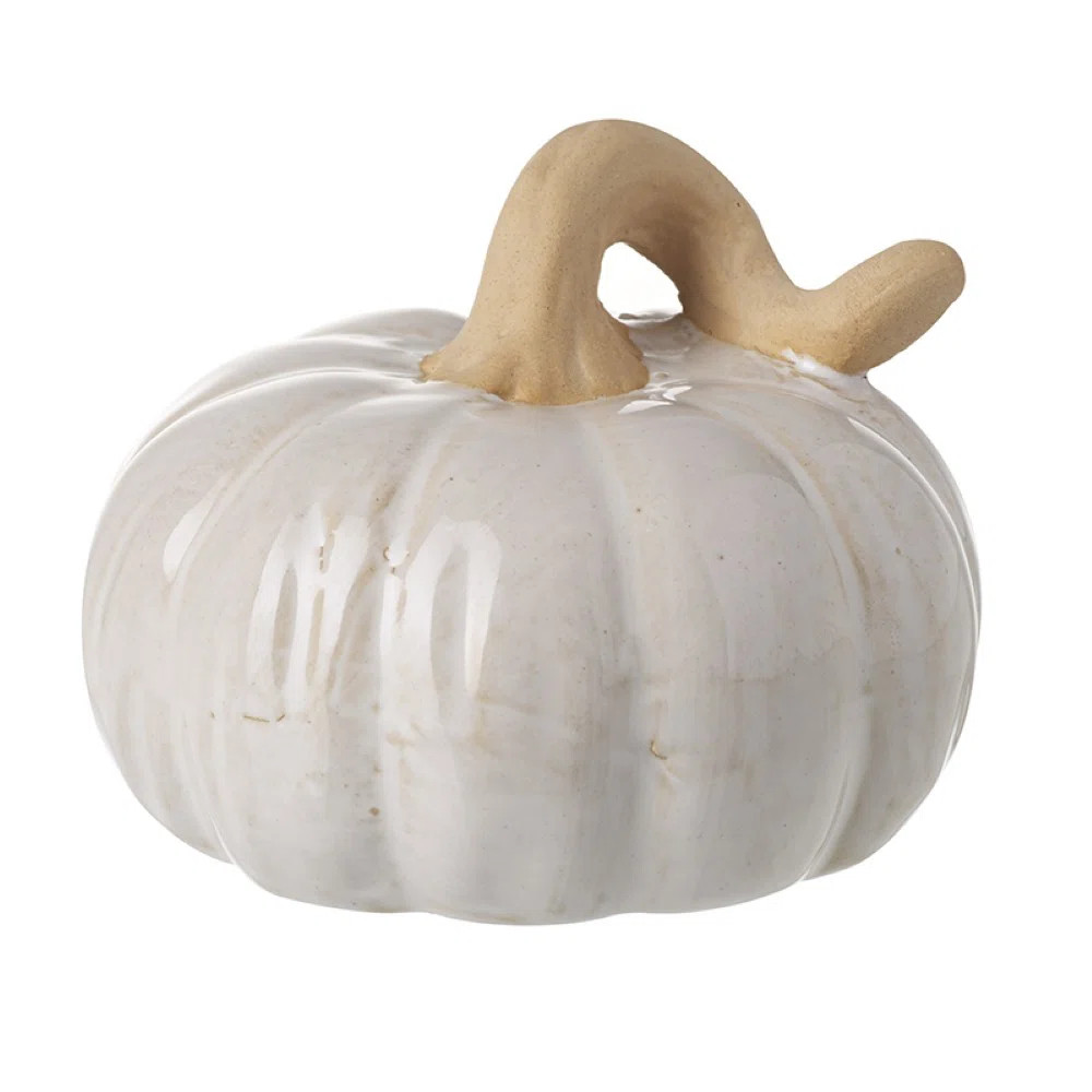Cream Pumpkin | Wayfair UK
