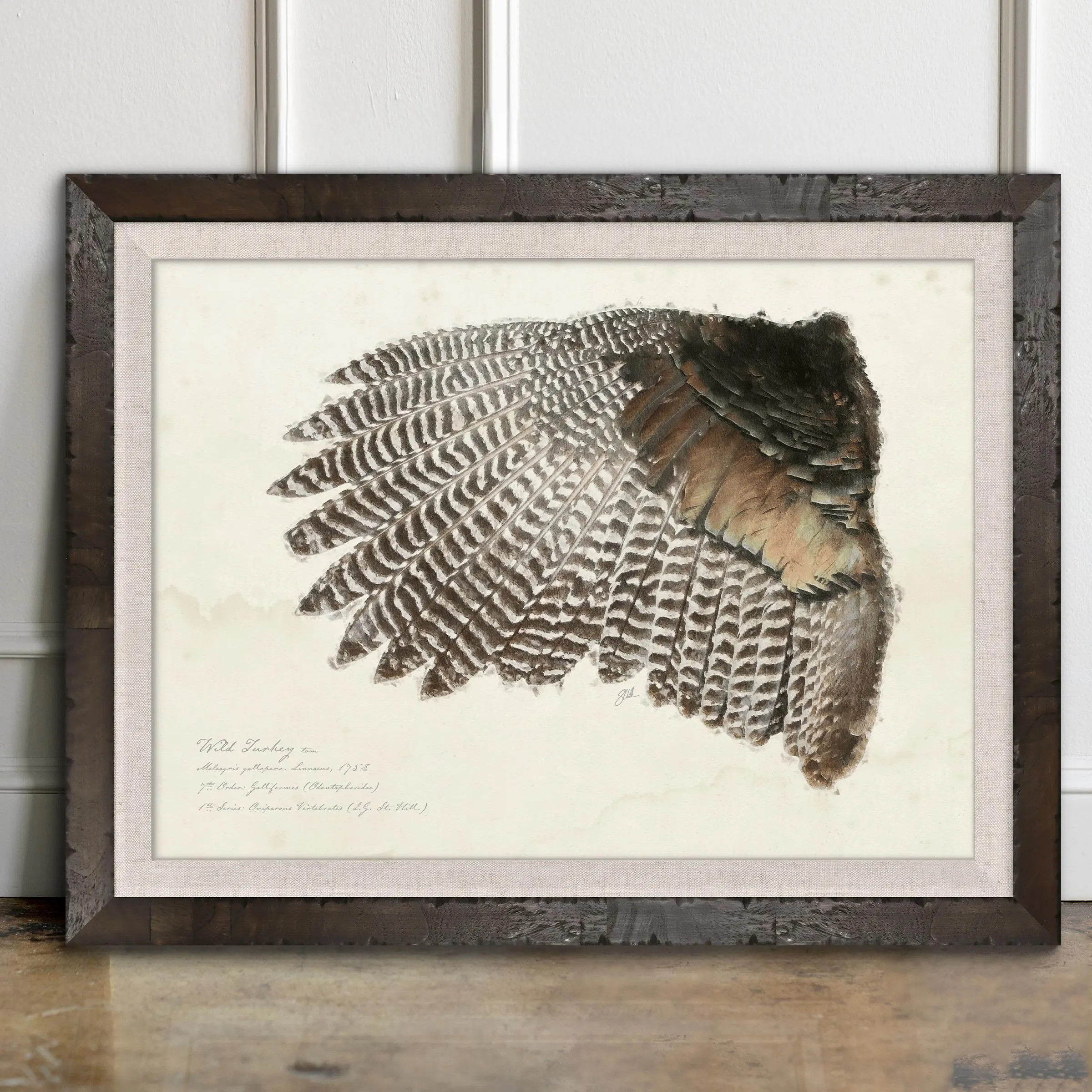 Wild Turkey Wing Study Original Art – Artist Grade Print in a Real Wood Burl Frame | Etsy (Global)