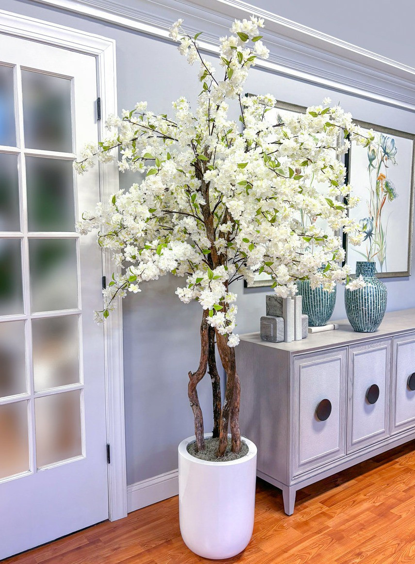 Wayfair 24-hour deals are live and the home finds are so good right now! 🛍️ TVs consoles, console tables, bathroom vanities, cozy sofas, armchairs, sideboards, fire pits, dressers, dining tables, cherry blossom trees, nightstands, area rugs, bathtubs, bookcases, patio chairs and so many more home pieces are on sale. Perfect time to refresh your space for less! ✨Wayfair 24 hour deal, Wayfair daily deals, Wayfair sale, Wayfair furniture sale, Wayfair home deals, Wayfair clearance, Wayfair home decor sale, Wayfair living room furniture, Wayfair bedroom furniture, Wayfair patio furniture, Wayfair bathroom vanity sale, Wayfair TV console, Wayfair console table, Wayfair sofa sale, Wayfair armchair, Wayfair sideboard, Wayfair fire pit, Wayfair dresser drawer, Wayfair dining table sale, Wayfair nightstand, Wayfair area rugs, Wayfair bathtub, Wayfair bookcase, Wayfair patio chair, TV console table, modern TV console, farmhouse TV stand, console table decor, entryway console table, bathroom vanity cabinet, double sink vanity, modern bathroom vanity, living room sofa, comfortable sofa, modern armchair, accent chair living room, wooden sideboard cabinet, buffet sideboard storage, outdoor fire pit table, fire pit for patio, bedroom dresser drawer, wooden dresser, modern dining table, farmhouse dining table, artificial cherry blossom tree, cherry blossom decor, bedside nightstand table, modern nightstand with drawers, large area rug living room, neutral area rug, freestanding bathtub, modern soaking tub, wooden bookcase shelf, tall bookcase storage, outdoor patio chair, patio furniture set, backyard patio furniture, modern home decor, affordable home decor, home decor deals, home furniture deals, living room furniture ideas, bedroom furniture ideas, patio decor ideas, entryway decor ideas, home decor inspiration, cozy home ideas, aesthetic home decor, minimalist home decor, modern farmhouse decor, neutral home decor, budget home decor, home sale finds, furniture sale online, home deals today, daily home deals, best Wayfair finds, trending home decor, viral home finds, LTK home finds, LTK home deals, LTK sale finds, affordable furniture finds, stylish home furniture, home refresh ideas, home upgrade ideas, living room makeover ideas, bedroom makeover ideas, patio makeover id