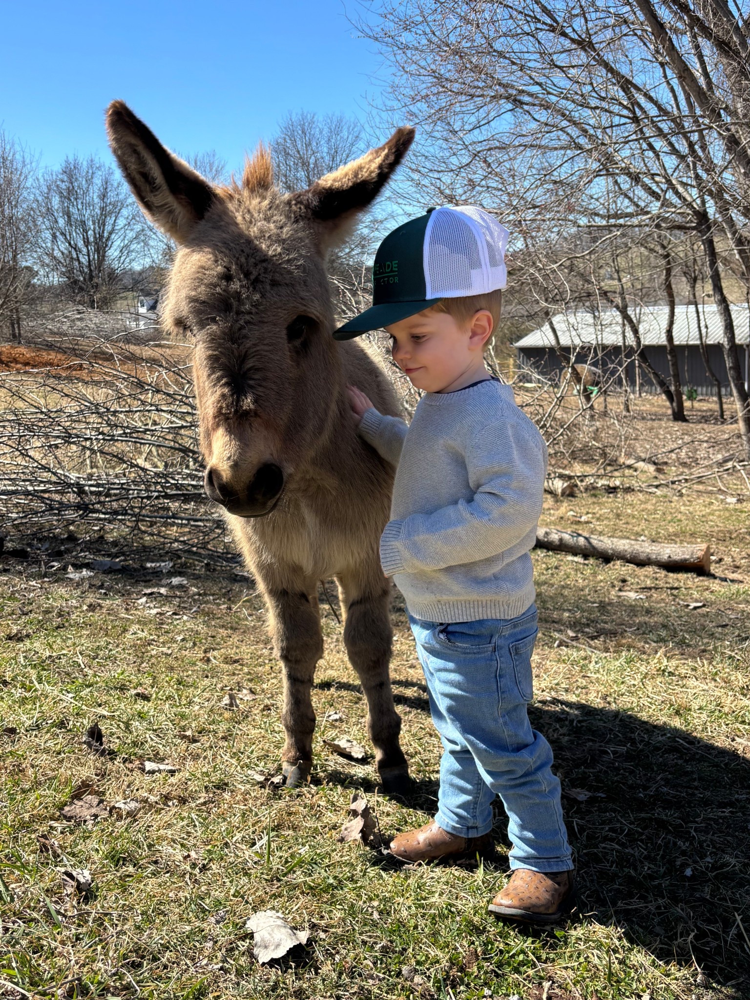 Tiny cowboy 🤠 he loves June bug 🥹

#LTKSpringSale #LTKKids #LTKPets
