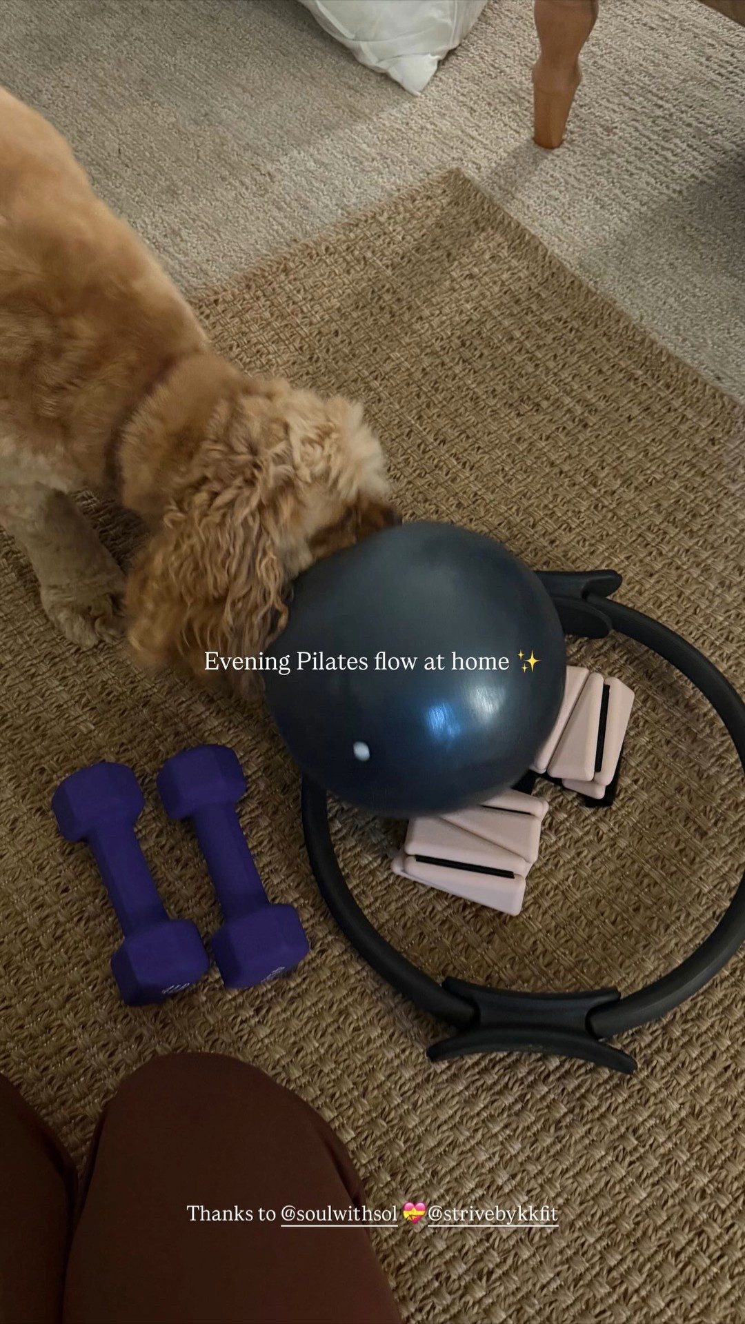 My at-home pilates equipment ✨

#LTKfitnessgoals