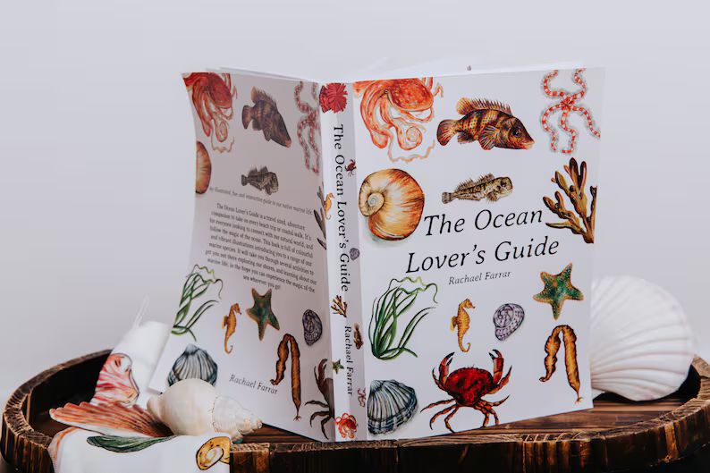 The Ocean Lover's Guide Interactive Nature Guide Seashore Guide - Etsy | Etsy (US)