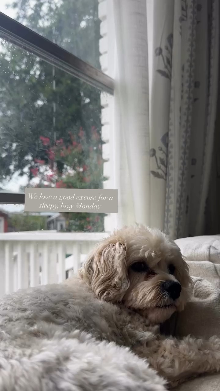 We love a good excuse for a sleepy, lazy Monday

#LTKdayinmylife #LTKHome #LTKmorningroutine