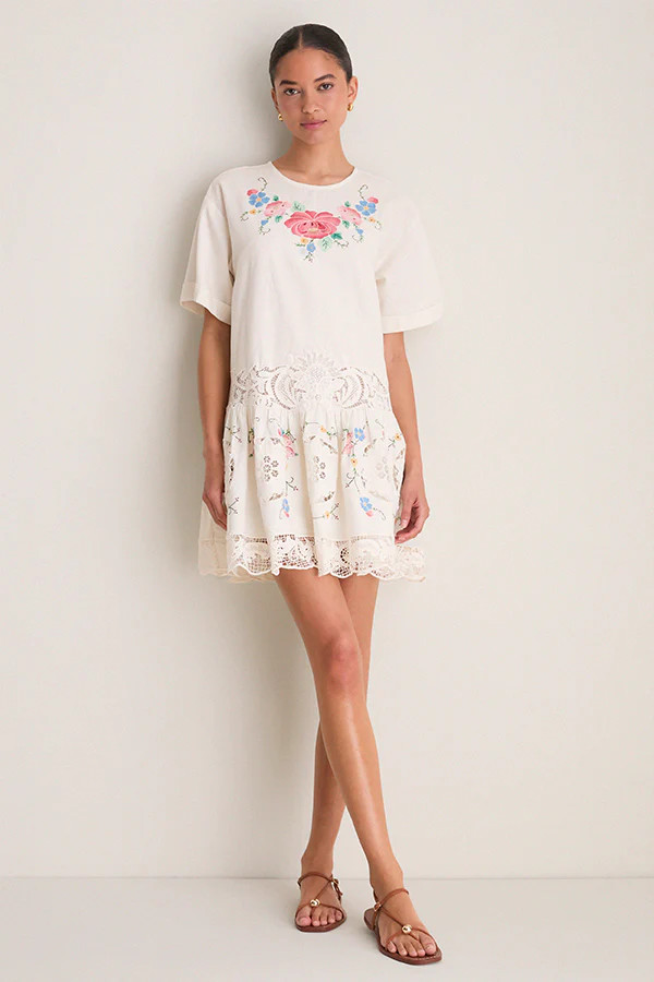 Multi Astrid Embroidery Mini Dress | Tuckernuck (US)
