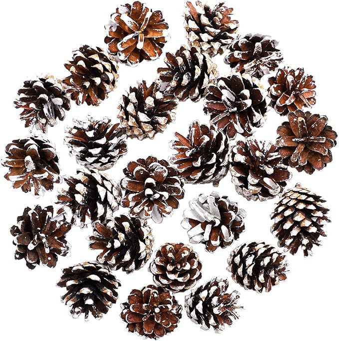 Cooraby 24 Pieces Pine Cones Christmas Snow Pine Cones 4 to 6 cm Pine Cones for Fall and Christma... | Amazon (US)