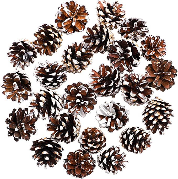 Cooraby 24 Pieces Pine Cones Christmas Snow Pine Cones 4 to 6 cm Pine Cones for Fall and Christma... | Amazon (US)