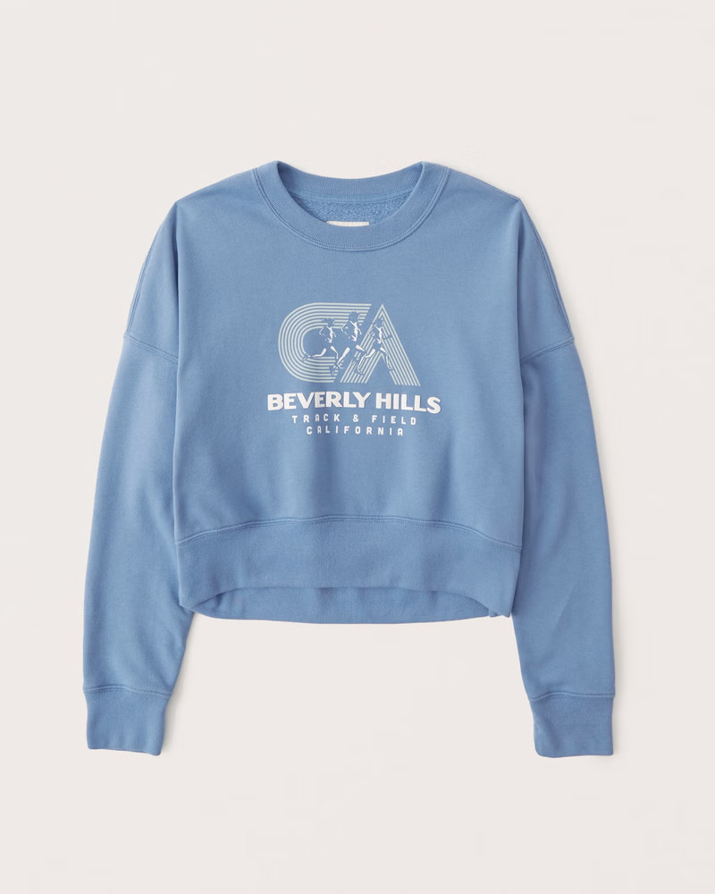 Vintage Wedge Graphic Crew Sweatshirt | Abercrombie & Fitch (US)