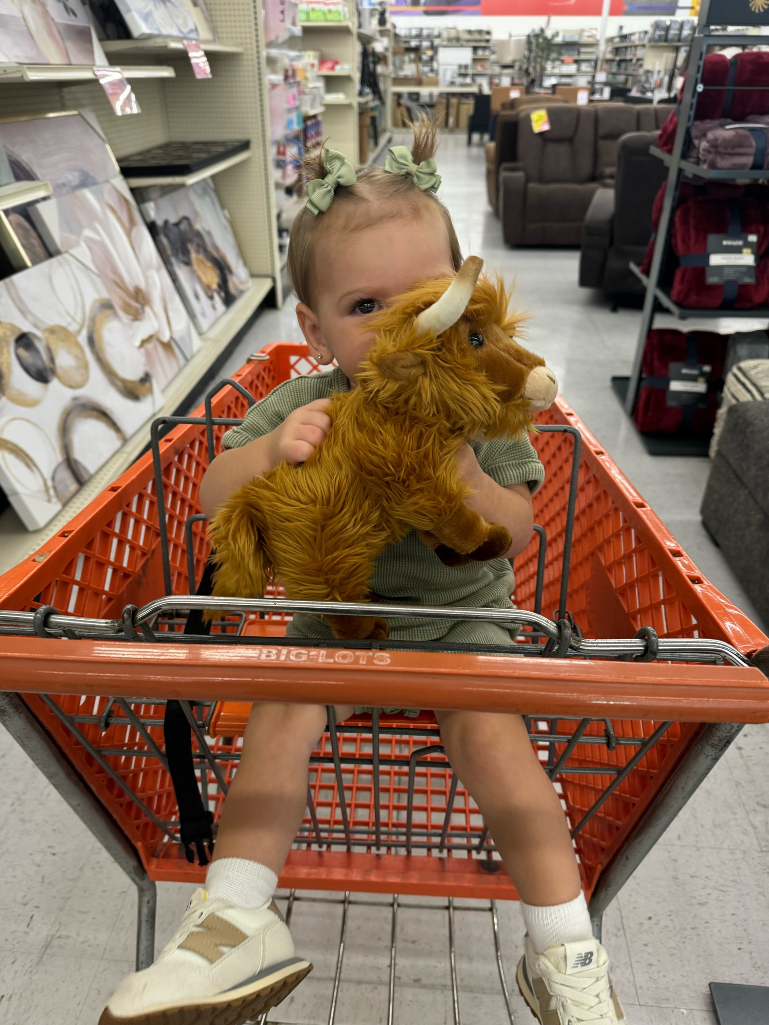 I took Landry to Tractor Supply and of course she NEEDED this highland cow….


Stuffed animals | aurora stuffed animals | highland cow | tractor supply | Amazon 

#LTKBaby #LTKFamily #LTKKids