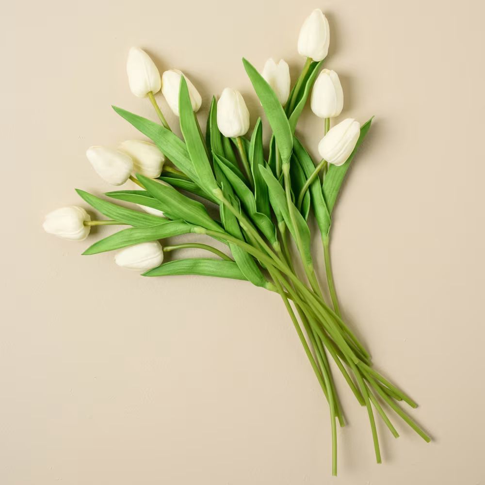 Small Tulip Bundle | Magnolia