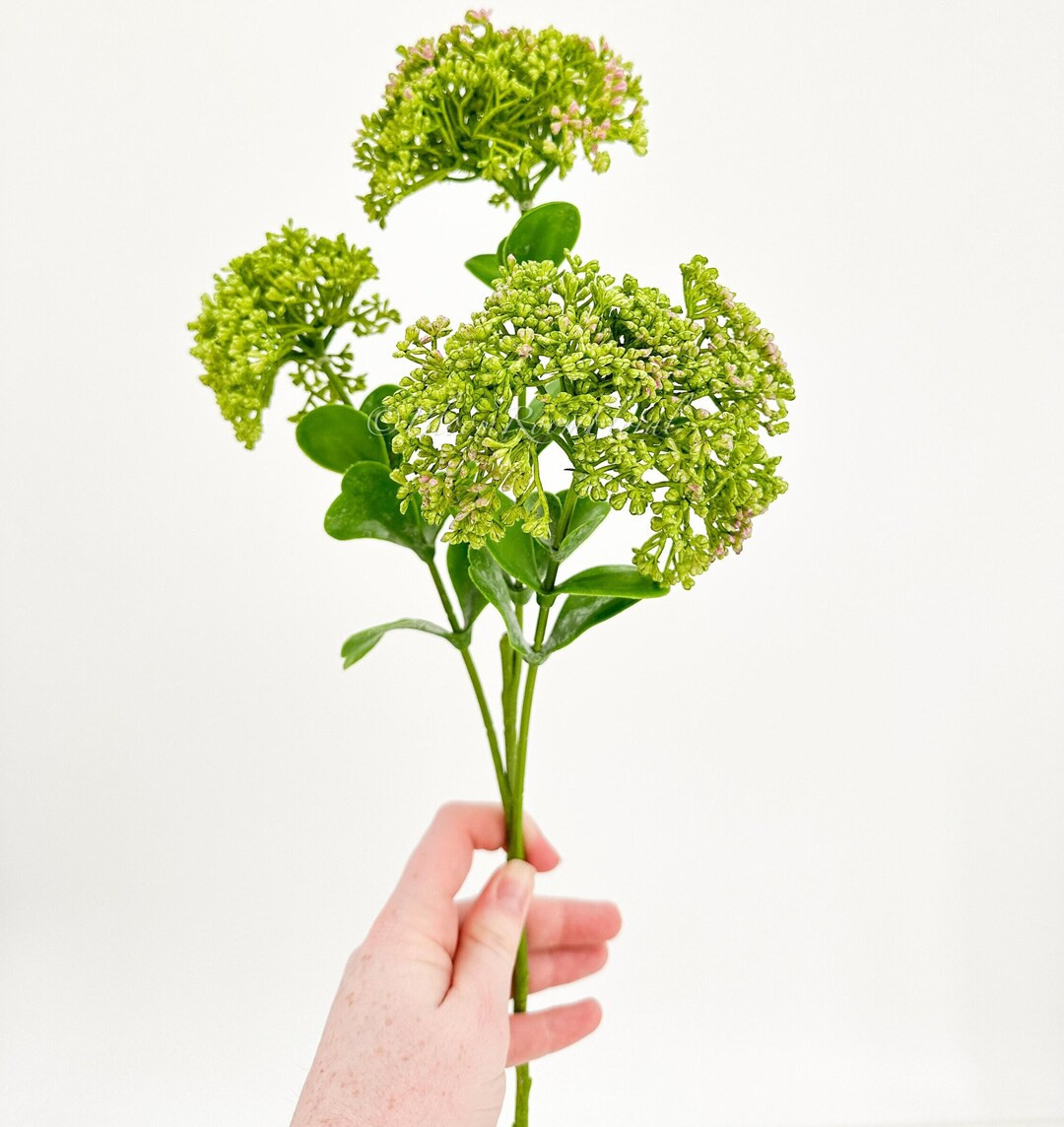 Green Achillea Stem, Cabbage Artificial Filler, High-quality Realistic Luxury Quality Kitchen/wed... | Etsy (US)