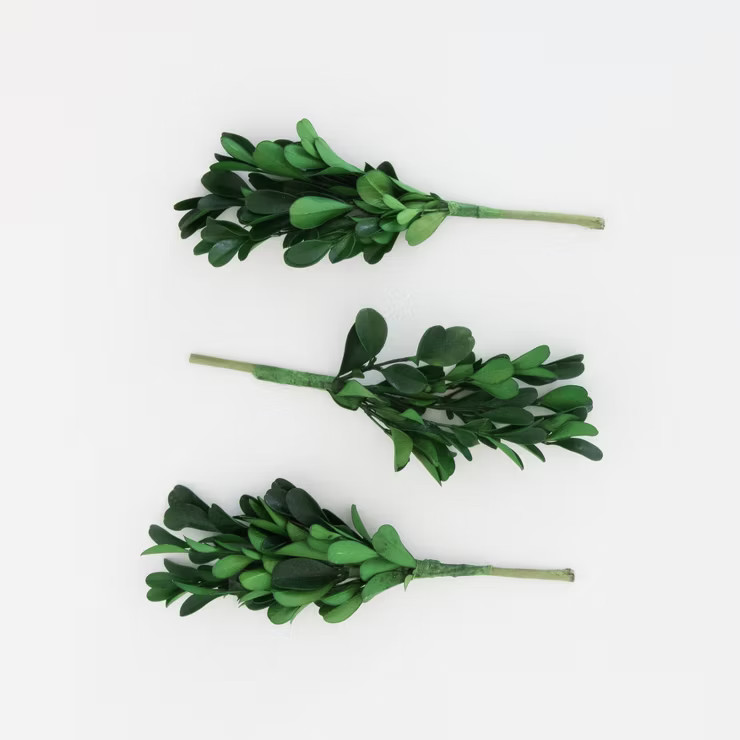 3ct Preserved Boxwood Ornament Topper - Sugar Paper™ + Target | Target