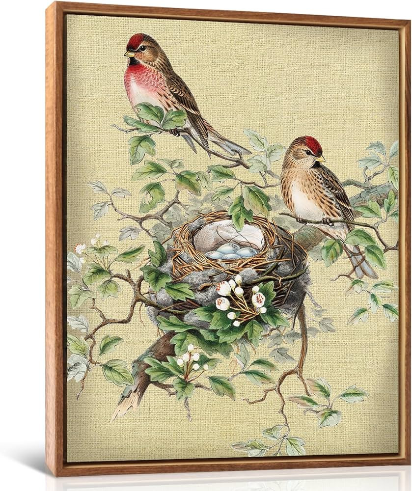 LHIUEM Birds Pictures Wall Decor(12”X16”) Spring Hummingbird Canvas Wall Art Framed Farmhouse... | Amazon (US)