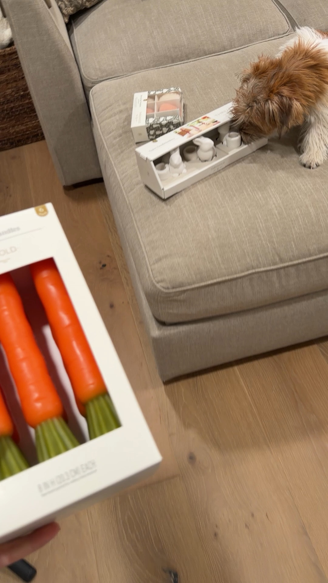 New spring Easter target home decor 

#LTKSaleAlert #LTKSeasonal #LTKHome