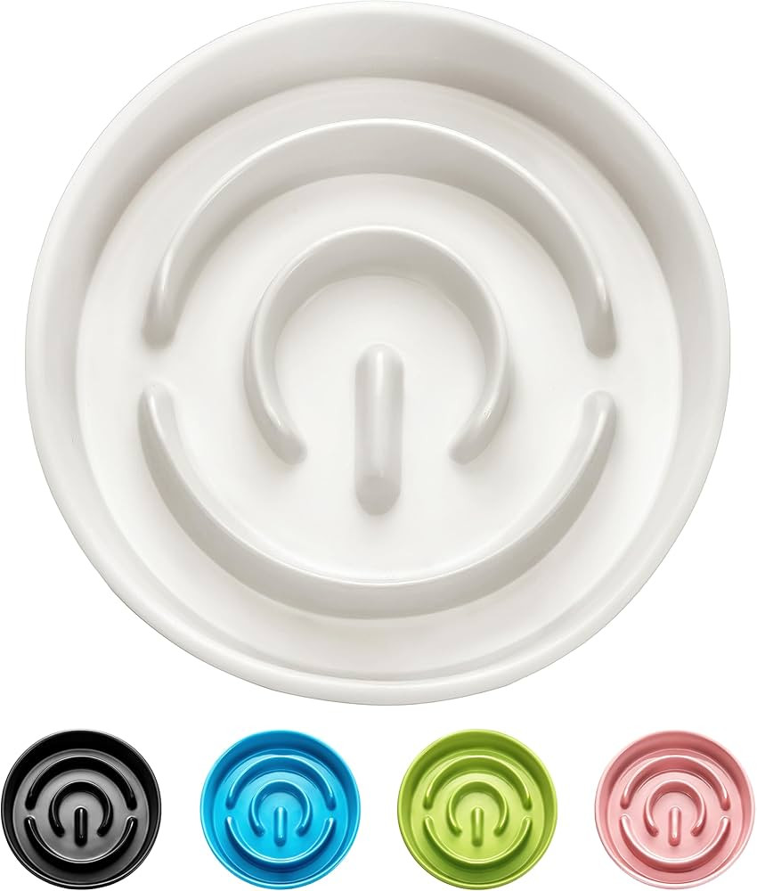 Ceramic Slow Feeder Dog Bowl for Small Breed, Slow Feeder Cat Bowl, 0.6 Cup Slow Eating Dog Bowl,... | Amazon (US)