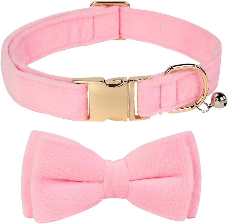 Dog Bowtie Collars, Cute Soft Velvet Dog Collar with Bow Tie, Safety Metal Buckle, Adjustable Col... | Amazon (US)