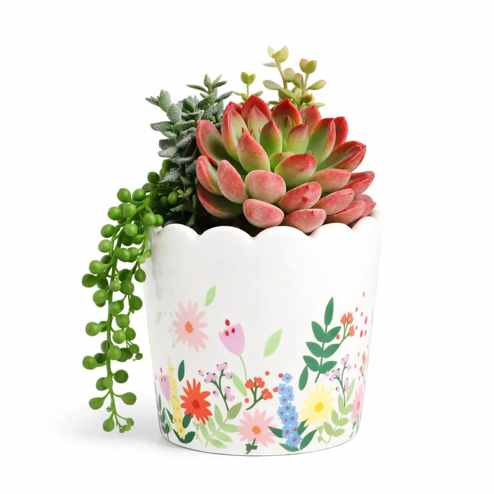 Floral Scalloped Ceramic Planter | Wildflower Plant Pot | Cute Indoor Flower Pot | Gift for Plant... | Etsy (Global)