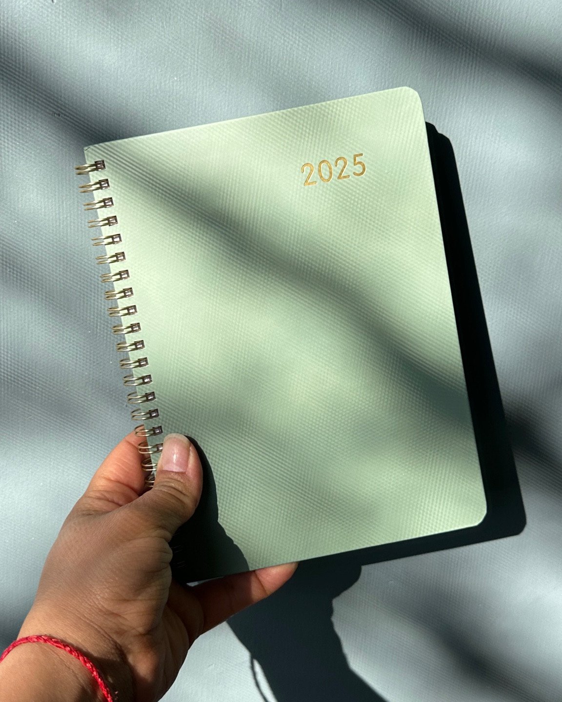 It’s never too late to start planning & organizing your life 💚 that’s why even though it’s about to be March I still got a 2025 planner because I’m so scattered brain with my sons busy schedule 😅 and I’ve always been a paper and pen girl so… #planningforthefuture #organizing #cuteplanner

#LTKFamily #LTKHome