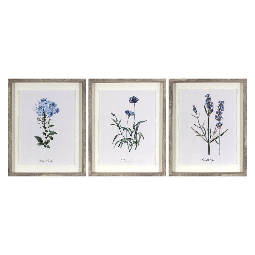 (Set of 3) 16""x20"" Framed Vintage Botanicals Decorative Wall Art - Threshold | Target