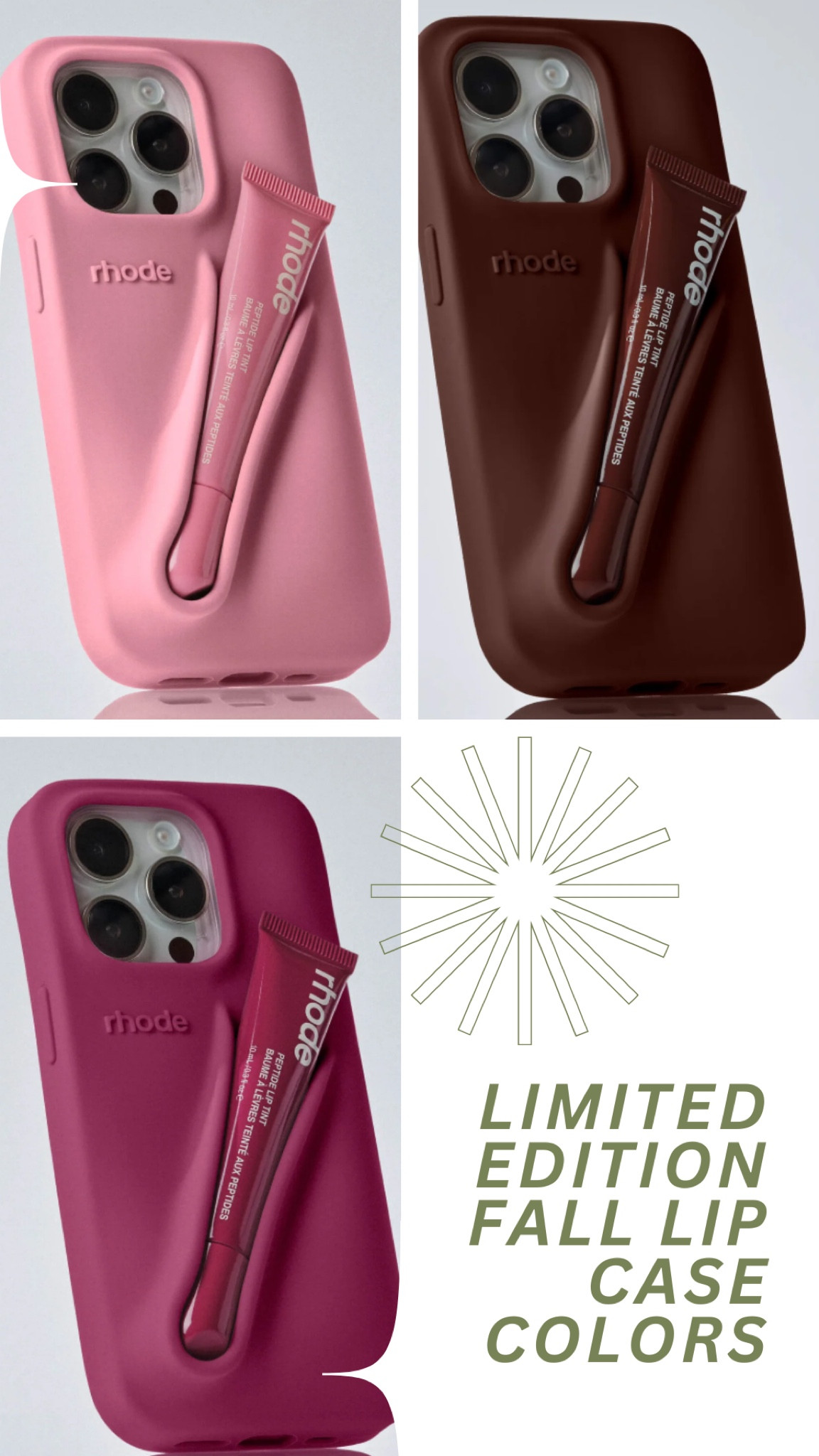 Limited edition fall lip case 

#LTKSeasonal #LTKHoliday #LTKGiftGuide