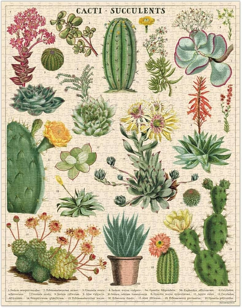 Cavallini 1000 Piece Puzzle, Cacti and Succulents (PZL/SUC) | Amazon (US)