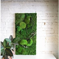 Large Moss Wall Art/Living House Jungle Frame Green Decor Maintenance-Free Plant One Pieces 50x100 cm | Etsy (CAD)