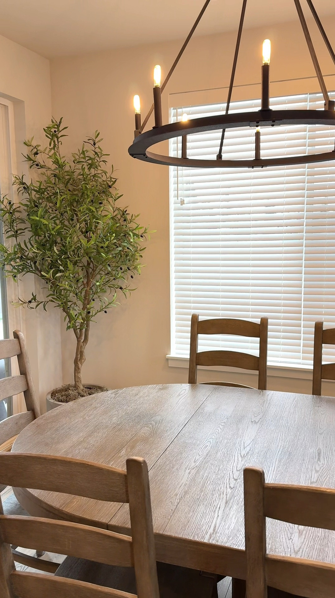 This faux tree is the perfect addition to your interior space!  It is the most realistic olive tree I have seen, and has olives!!! Add it to a cement pot and Spanish moss and it’s the perfect thing to add life to any space! And if you don’t have a green thumb like me, no worries!!!! Perfect for a living room refresh!

#LTKWatchNow #LTKSaleAlert #LTKHome