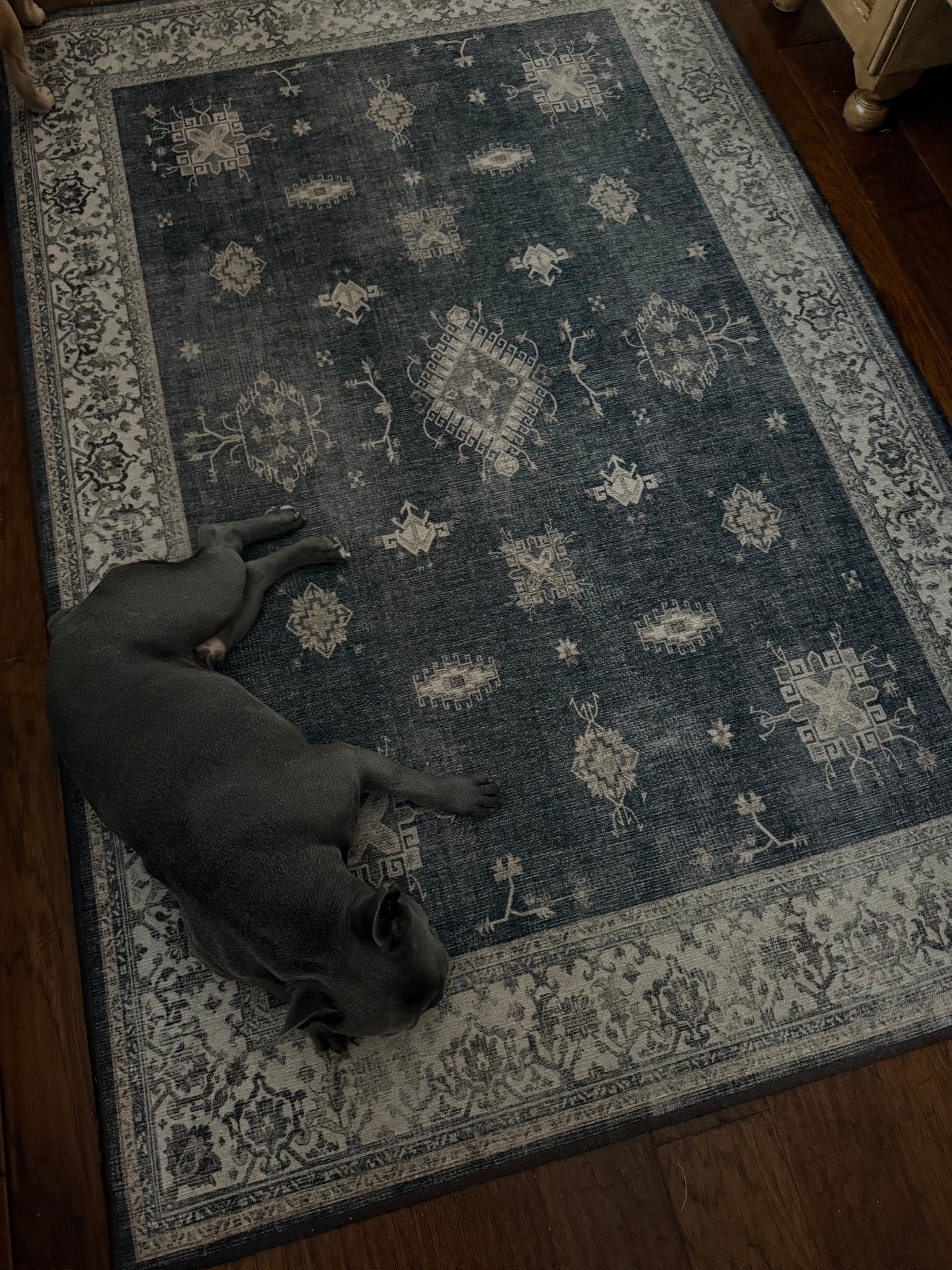 Neutral and warm grey, black cream, brown rug bowl, kitchen area rug

#LTKHome #LTKFindsUnder50 #LTKSaleAlert