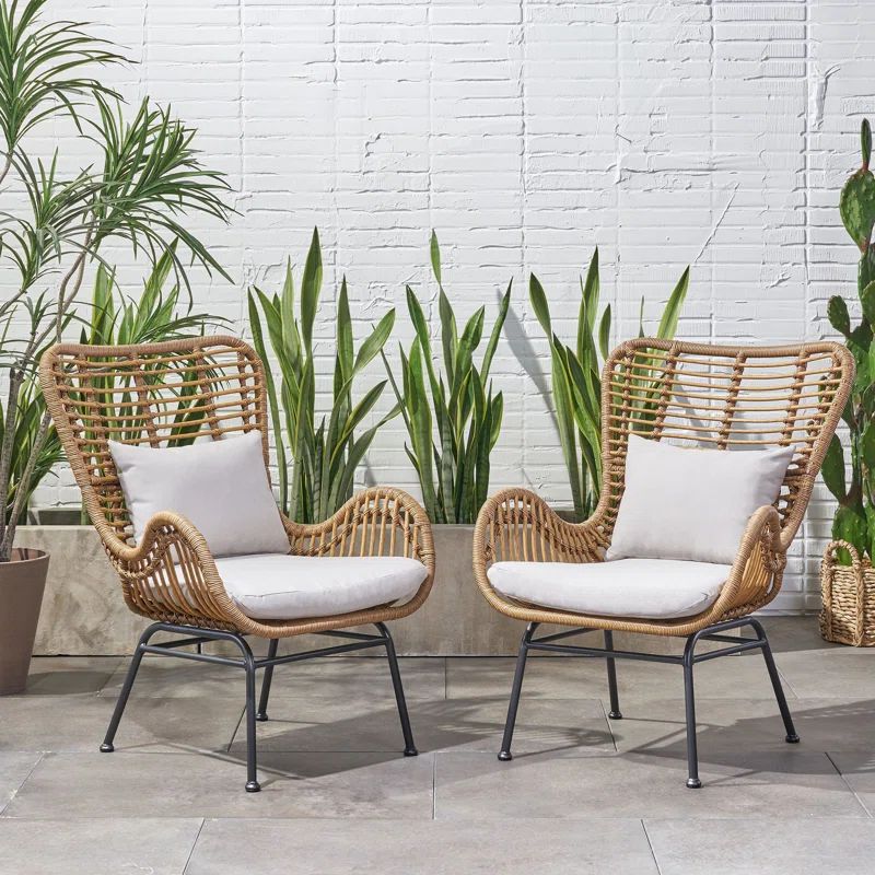 Tapscott Wicker Patio Chair with Cushions | Wayfair North America