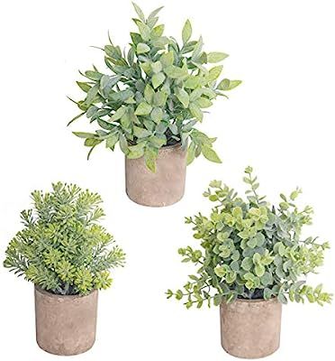 THE BLOOM TIMES Set of 3 Small Fake Plants Plastic Rustic Faux Potted Greenery Eucalyptus Boxwood... | Amazon (US)