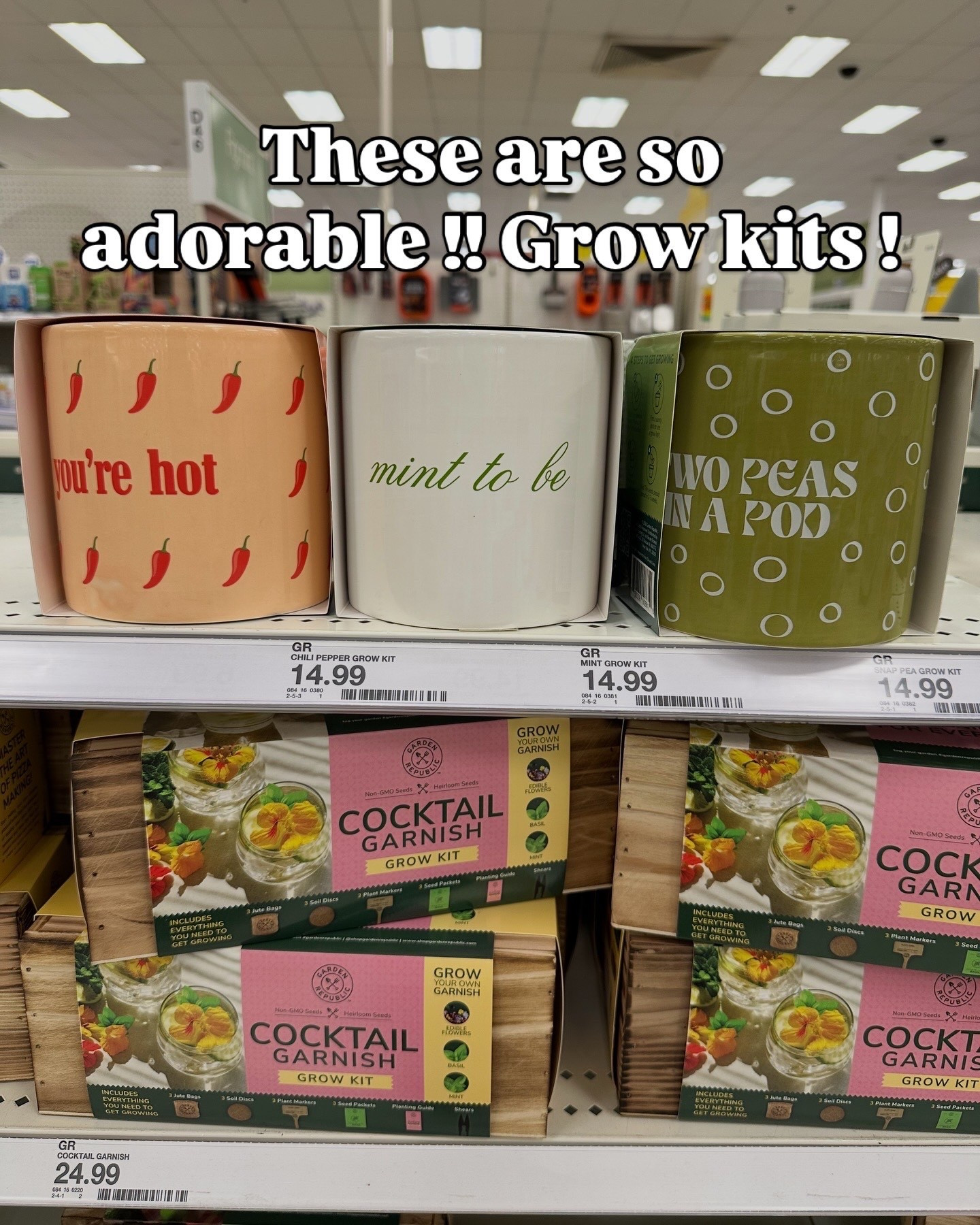 Spring herb grow kits !! @Target so cute for spring & Easter gift ideas 

#LTKHome #LTKSeasonal #LTKSaleAlert