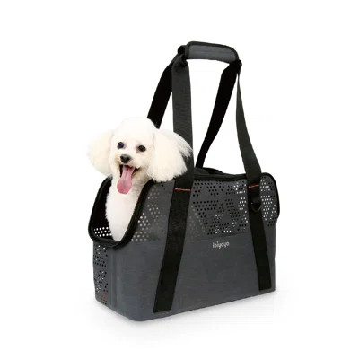 Breezy Wanderer Fur-Free Pet Tote Bag (L) | Wayfair North America